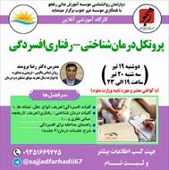 پاورپوینت کارگاه پروتکل درمان شناختی-رفتاری افسردگی